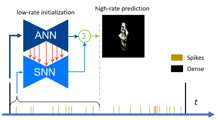 A Hybrid ANN-SNN Architecture for Low-Power and Low-Latency Visual Perception